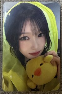 In Bloom hl 線上 簽售卡 雨衣