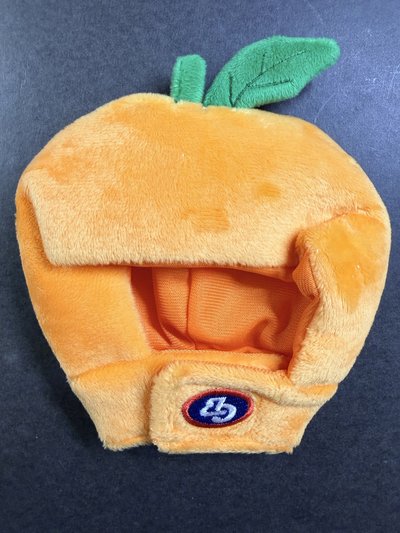 朴寶劍 FOREVONG 二代應援手燈、手燈套