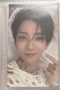 正規五 wvs gv特典