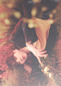 Hybe博物館 明信片 （4/14）