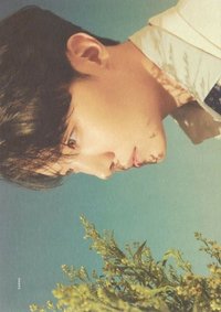 Hybe博物館 明信片 （5/14）