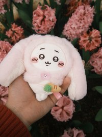 鮪鮪魚