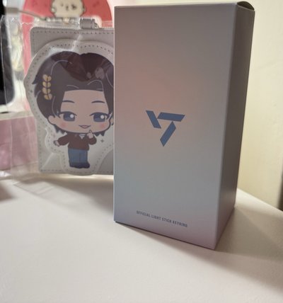 合售✨三麗鷗XSEVENTEEN-WOOZI卡套+蹦蹦手燈頭+三代小手燈