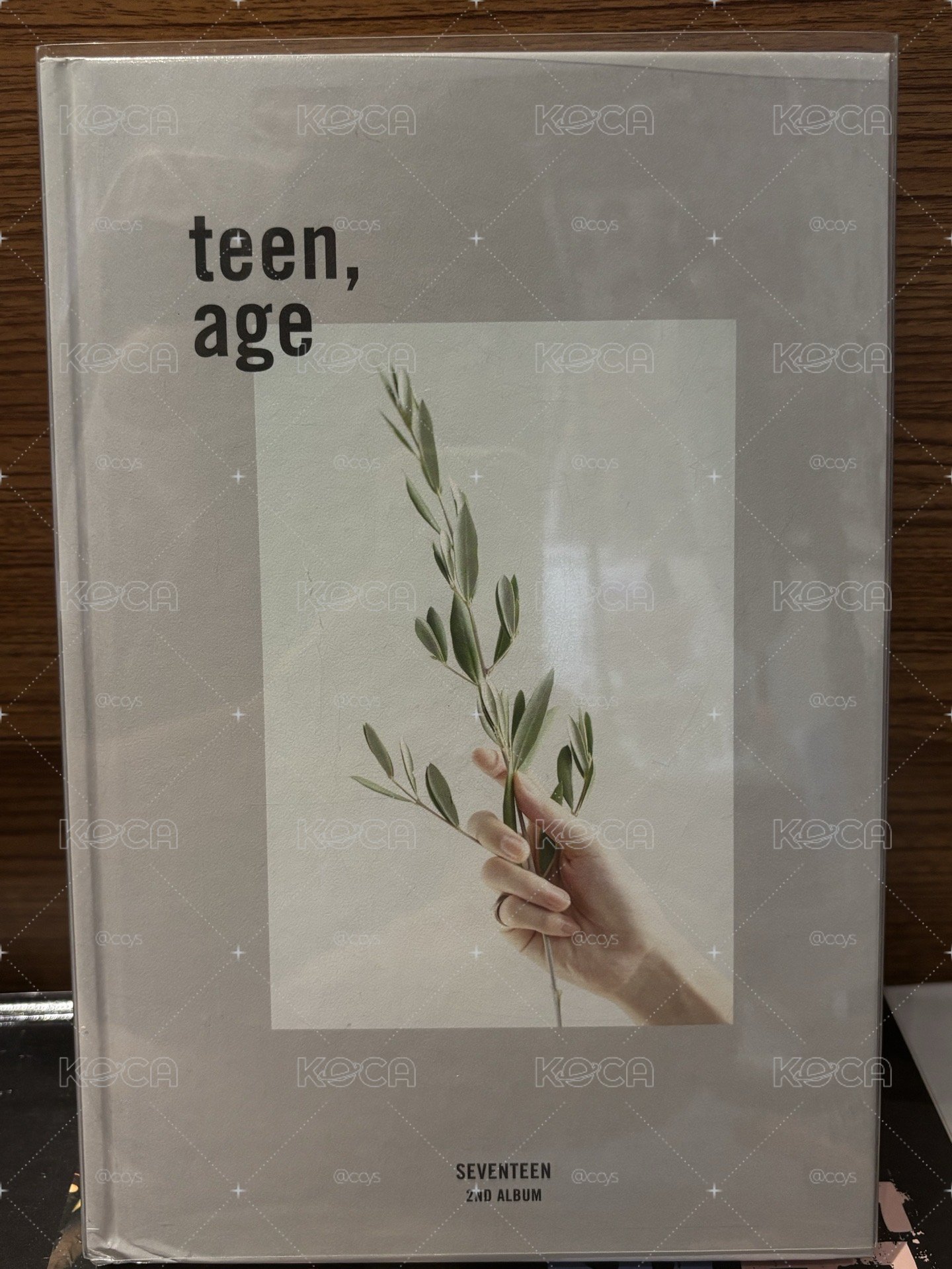 Seventeen 空專