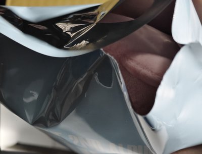 ​《REVIVE+》瑞 官方娃專