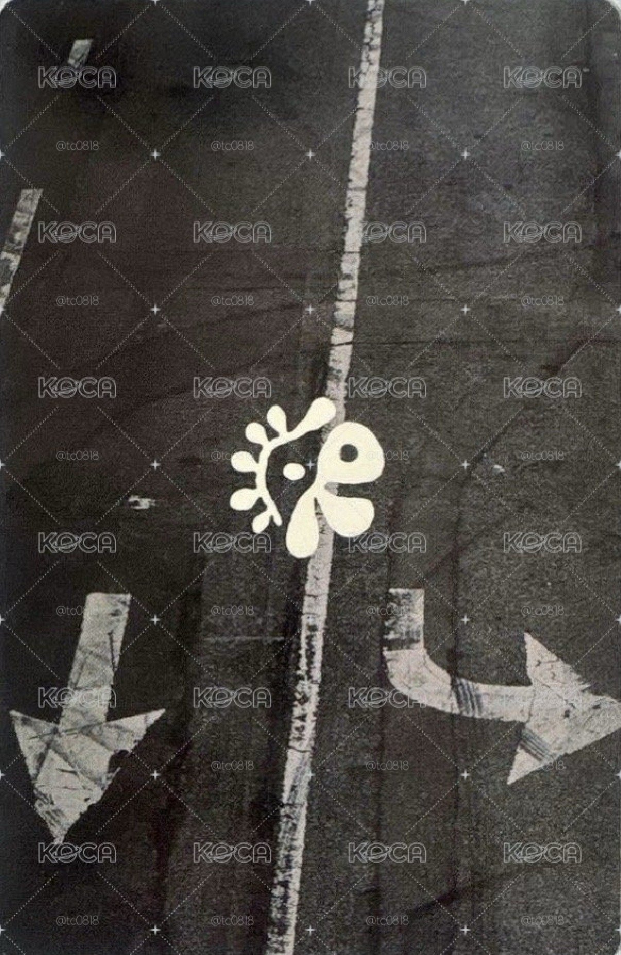 S2專卡 主訓