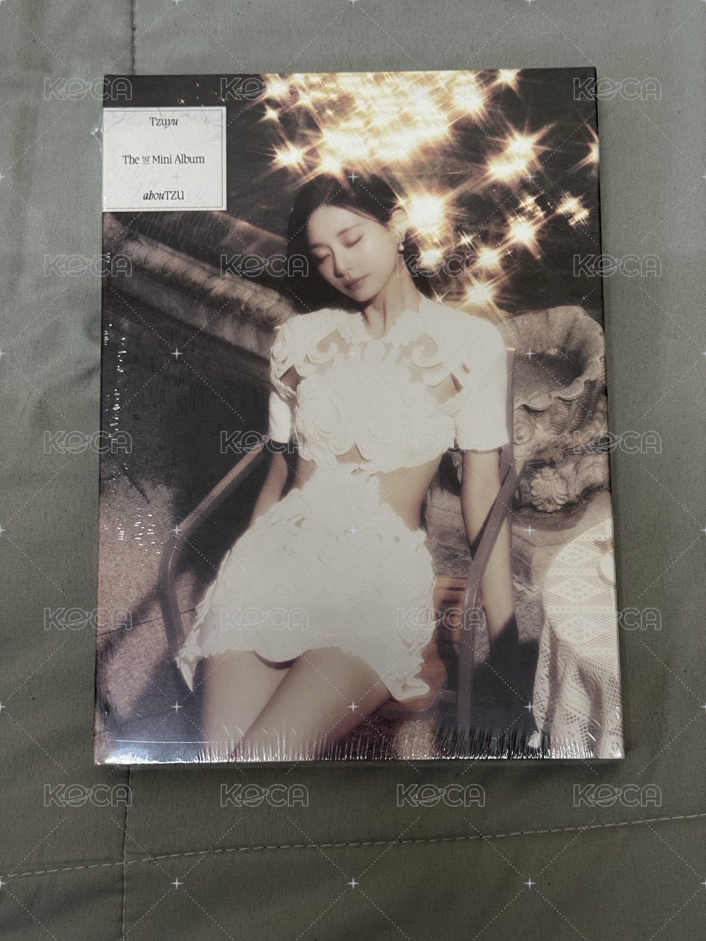 fly ver