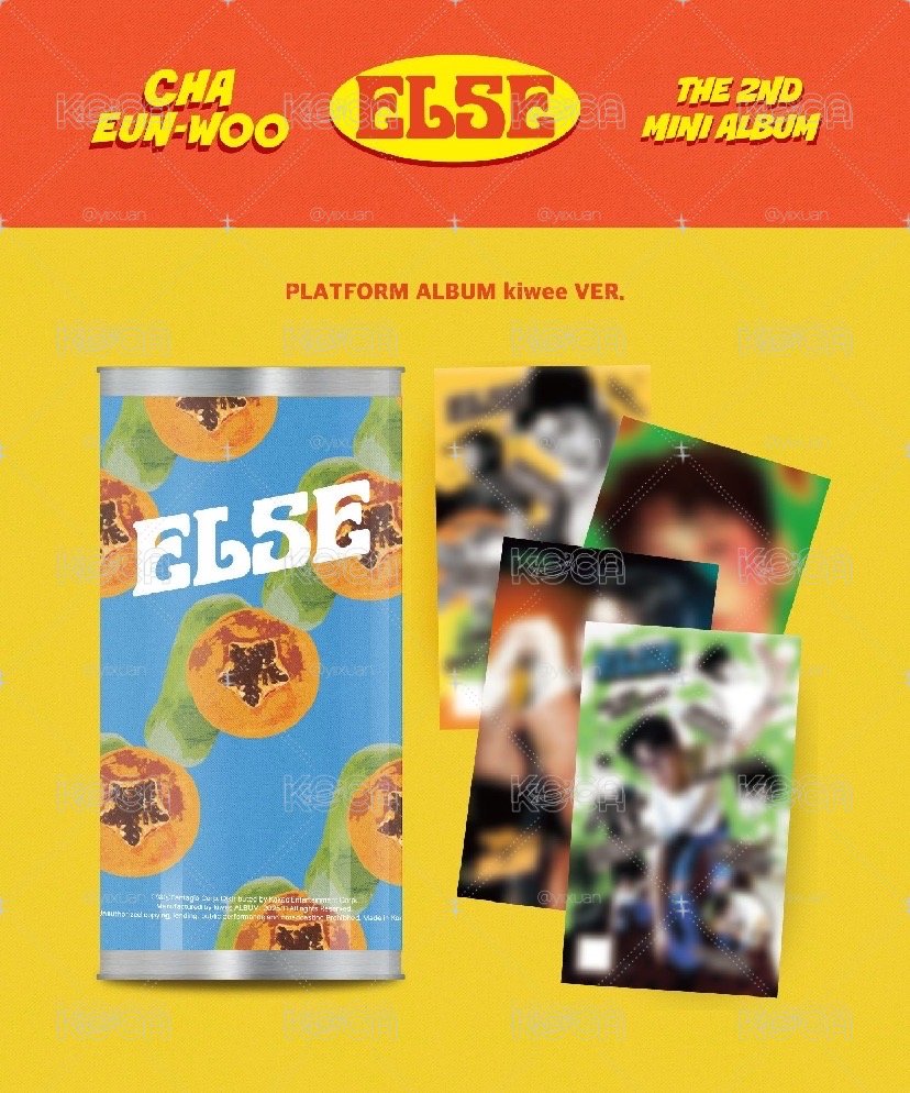 車銀優ELSE電子專 藍版