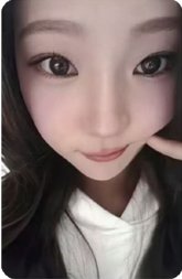 Focus ma 1.0 簽售卡 