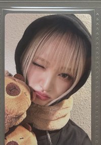 yzy  卡皮巴拉栗