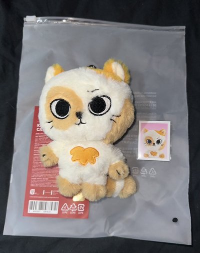 朴成淏二代娃 含綁