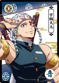 木棉花 鬼殺隊 隨機卡 （抽卡機）