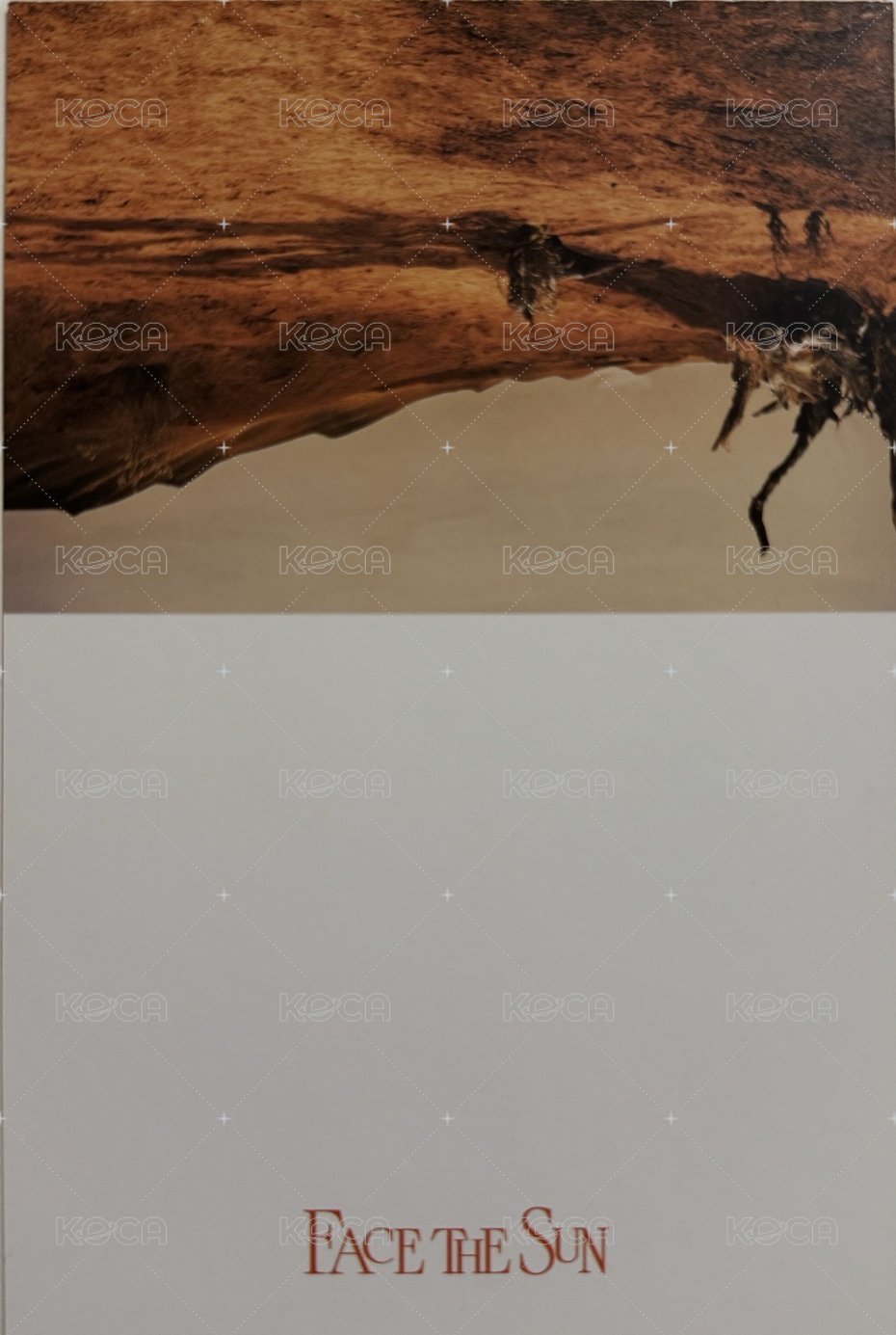 正四 ep.3 明信片  背面