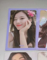 特二紗（需帶下排任一）