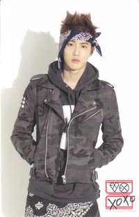 GROWL 文具卡 周邊卡 