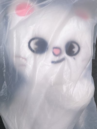 現貨直出 全新未拆 斜背娃 