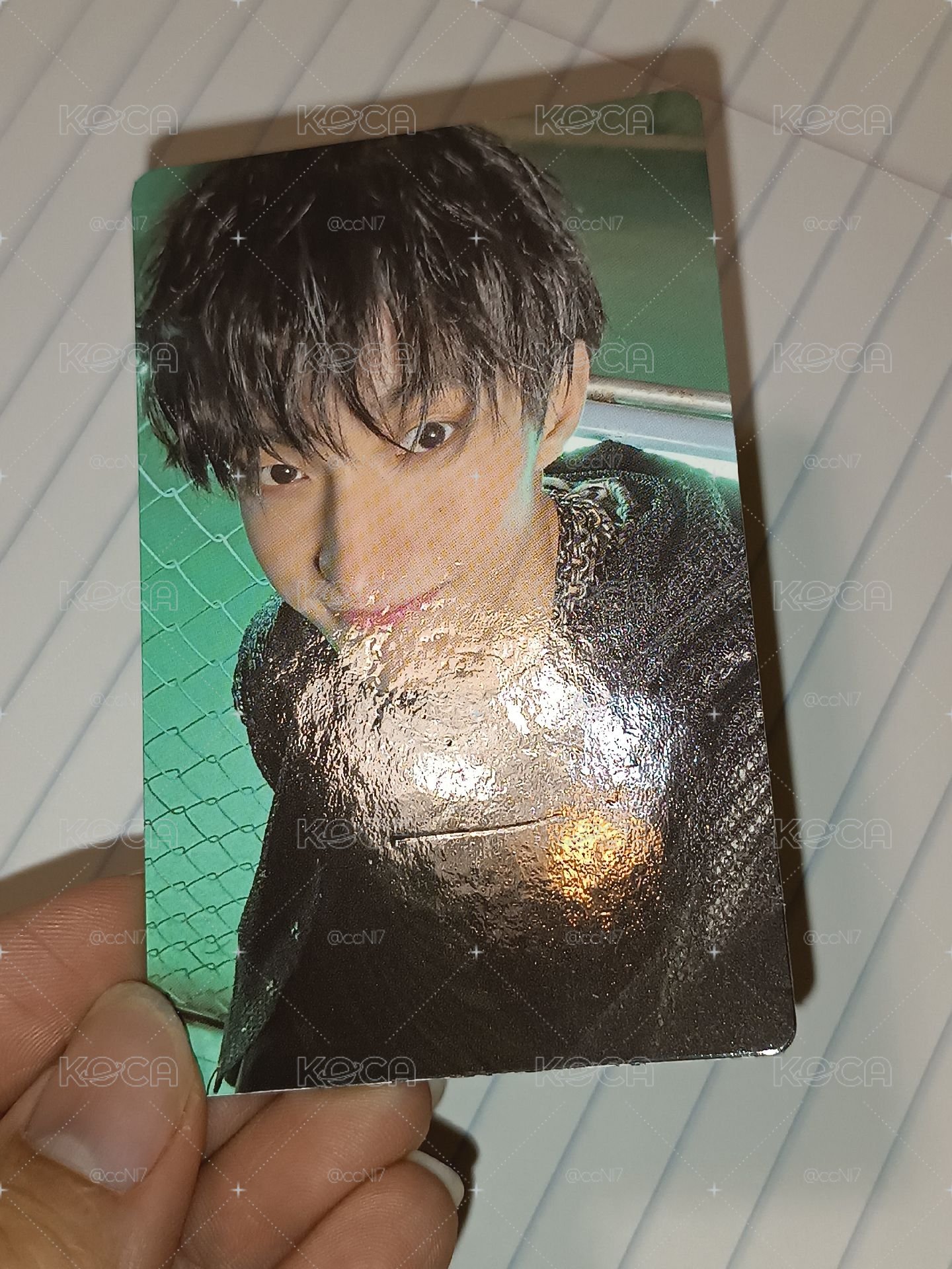正五 wvs特典 碩 有廠損