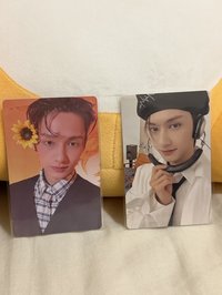 🩷多帶 左向日葵俊