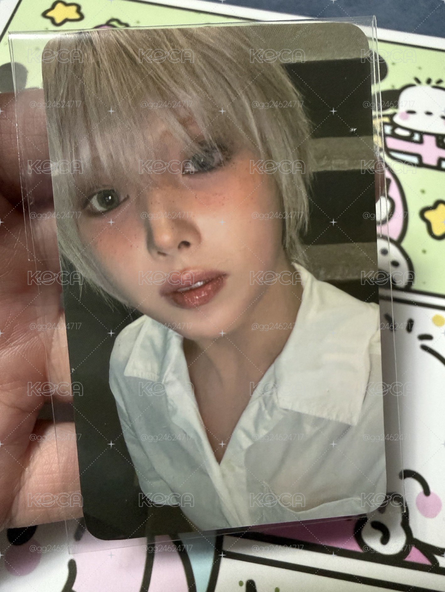 ⭐️正規一 fans 預售友