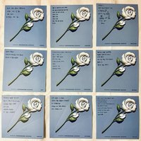 迷二 綠版PB 玫瑰留言卡