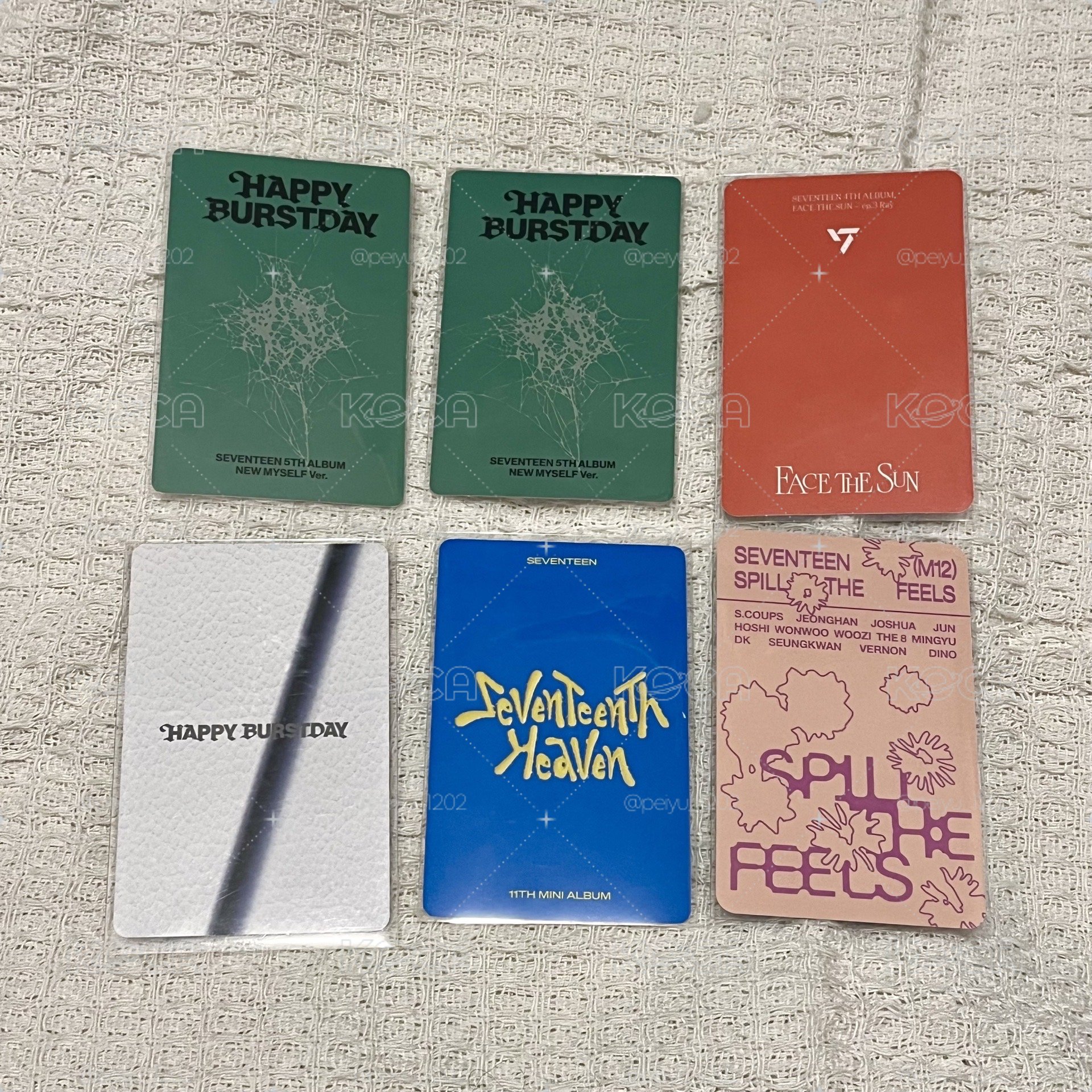 燦 小卡們🦦