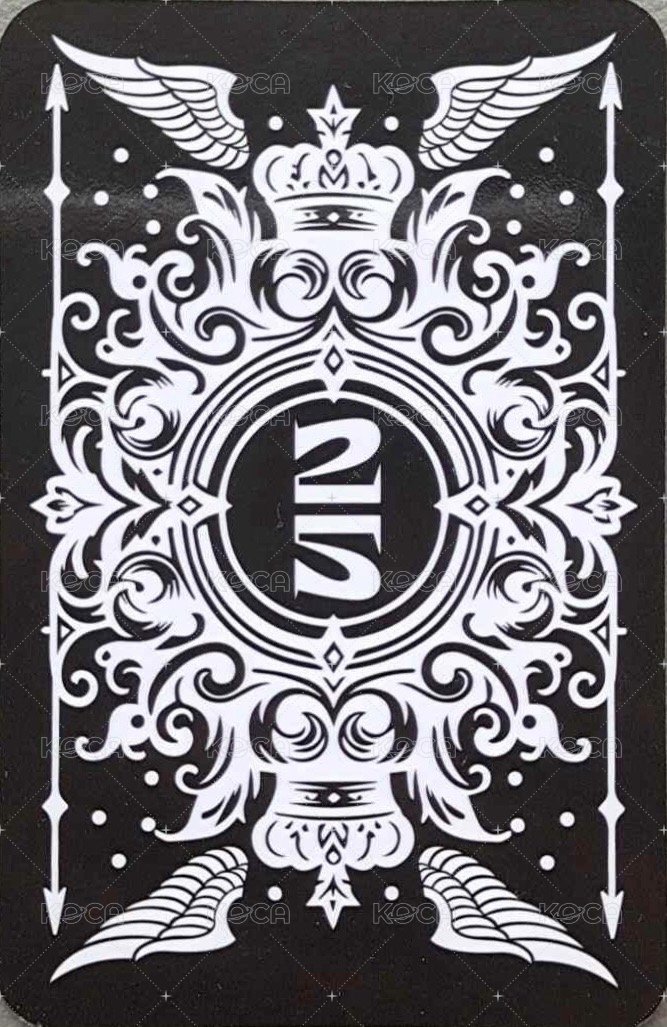 正規二快閃 小卡set 黑版 周邊卡  背面