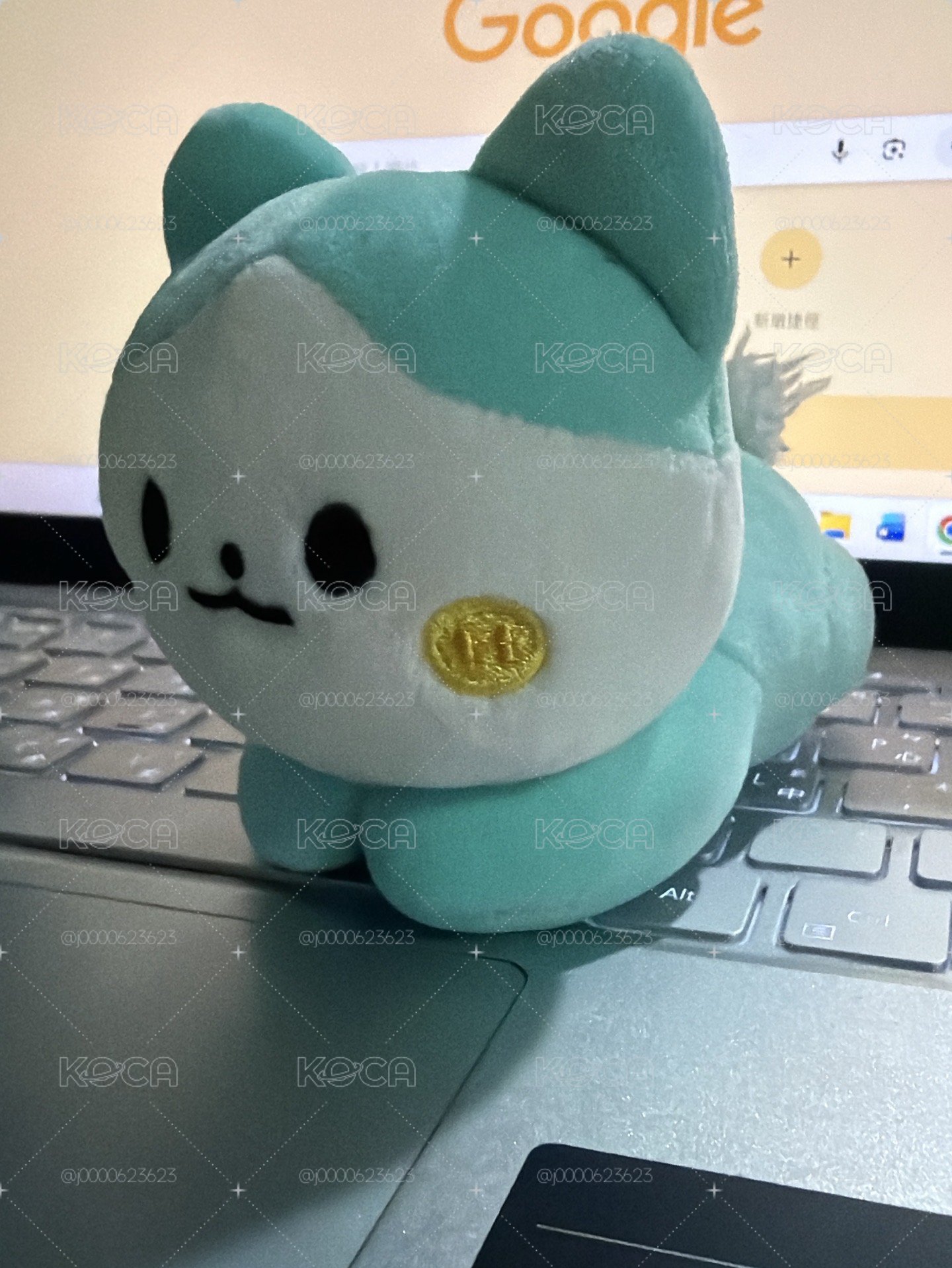 粒趴娃