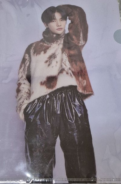 迷孩 辰 D社資料夾