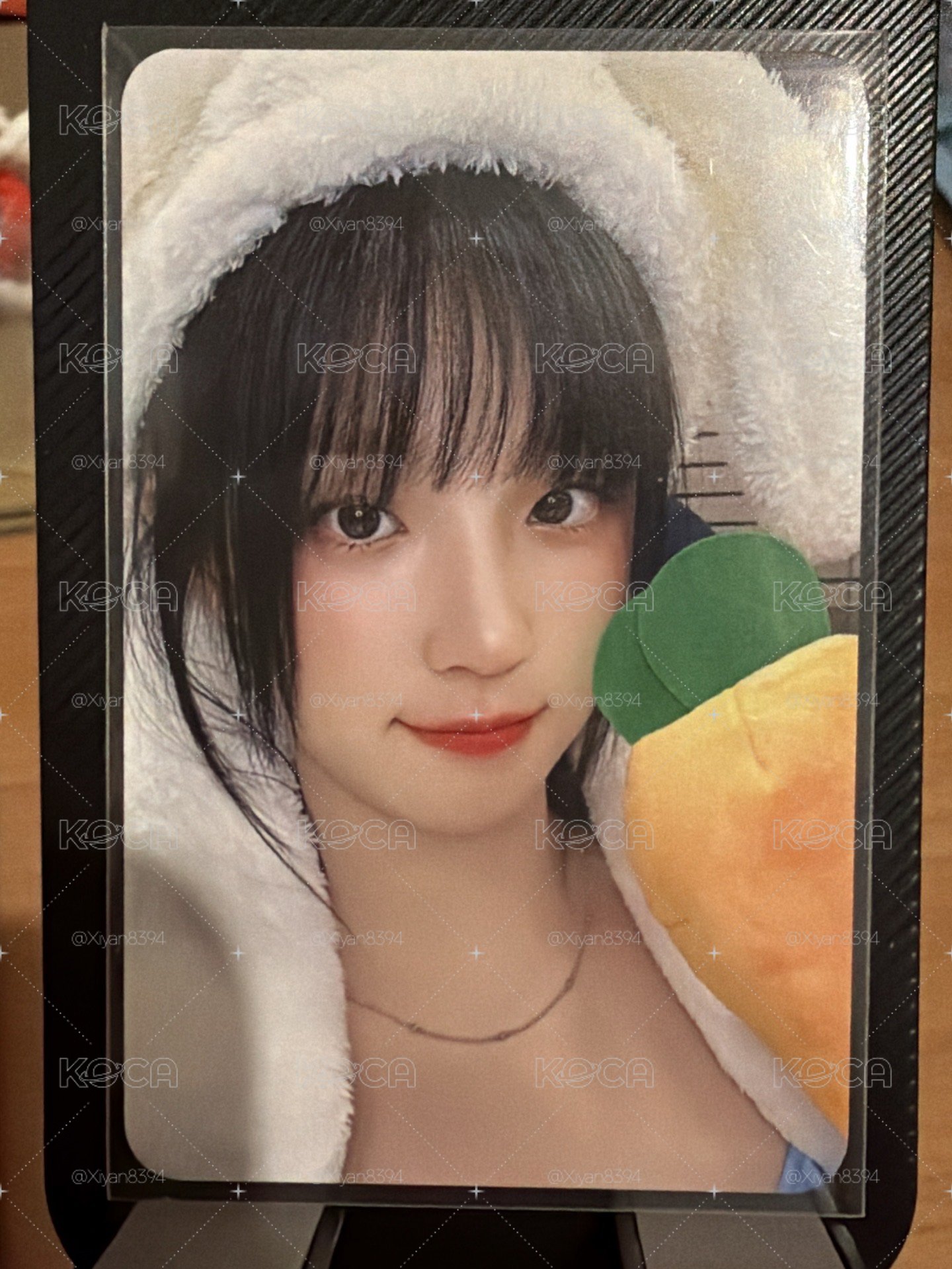 胡蘿蔔琦