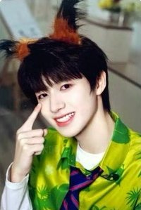 盛放 家族款 周邊卡 