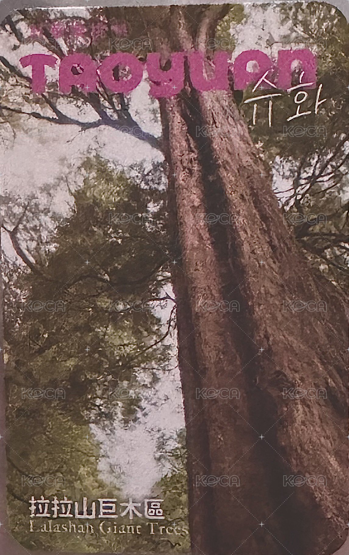 桃園觀光大使 2.0 代言卡 拉拉山（機捷A12限定） 背面