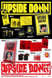 UPSIDE DOWN 電子專 