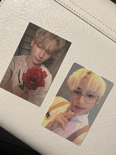 TXT公放玫瑰寧 日會續會寧