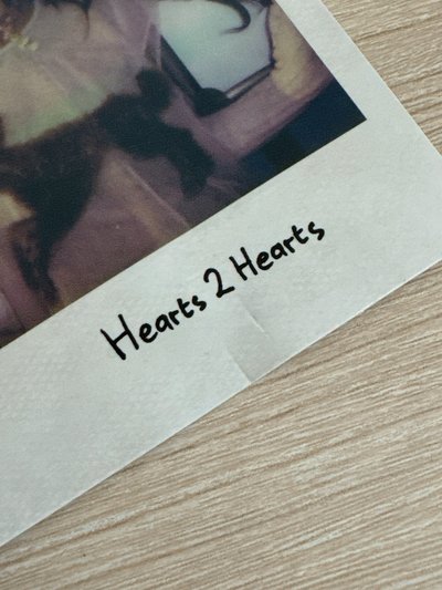 ❤️‍🩹單一專輯 The Chase pk.ver 拍立得 Carmen