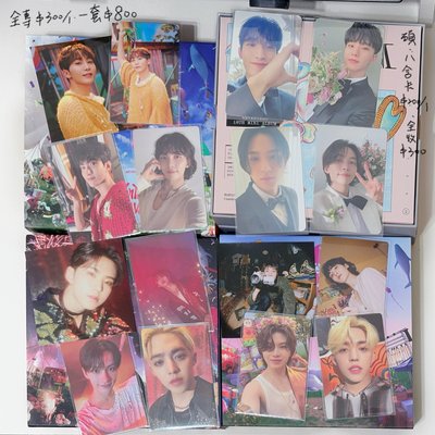 SEVENTEEN 全專 小卡 特典 迷10 碩 奎 8