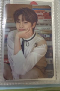 紳士范小狐狸（兩張一起帶走贈物