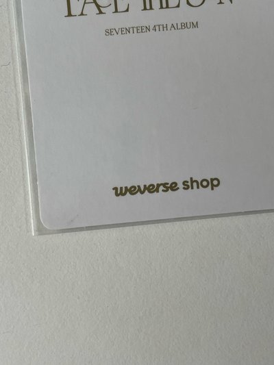 正四wvs特典