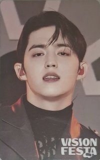 VISION FESTA 入場卡 / 場限卡 