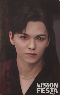 VISION FESTA 入場卡 / 場限卡 