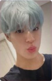 2023大隊 日專b版諾 專輯卡 