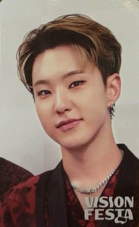 VISION FESTA 入場卡 / 場限卡 