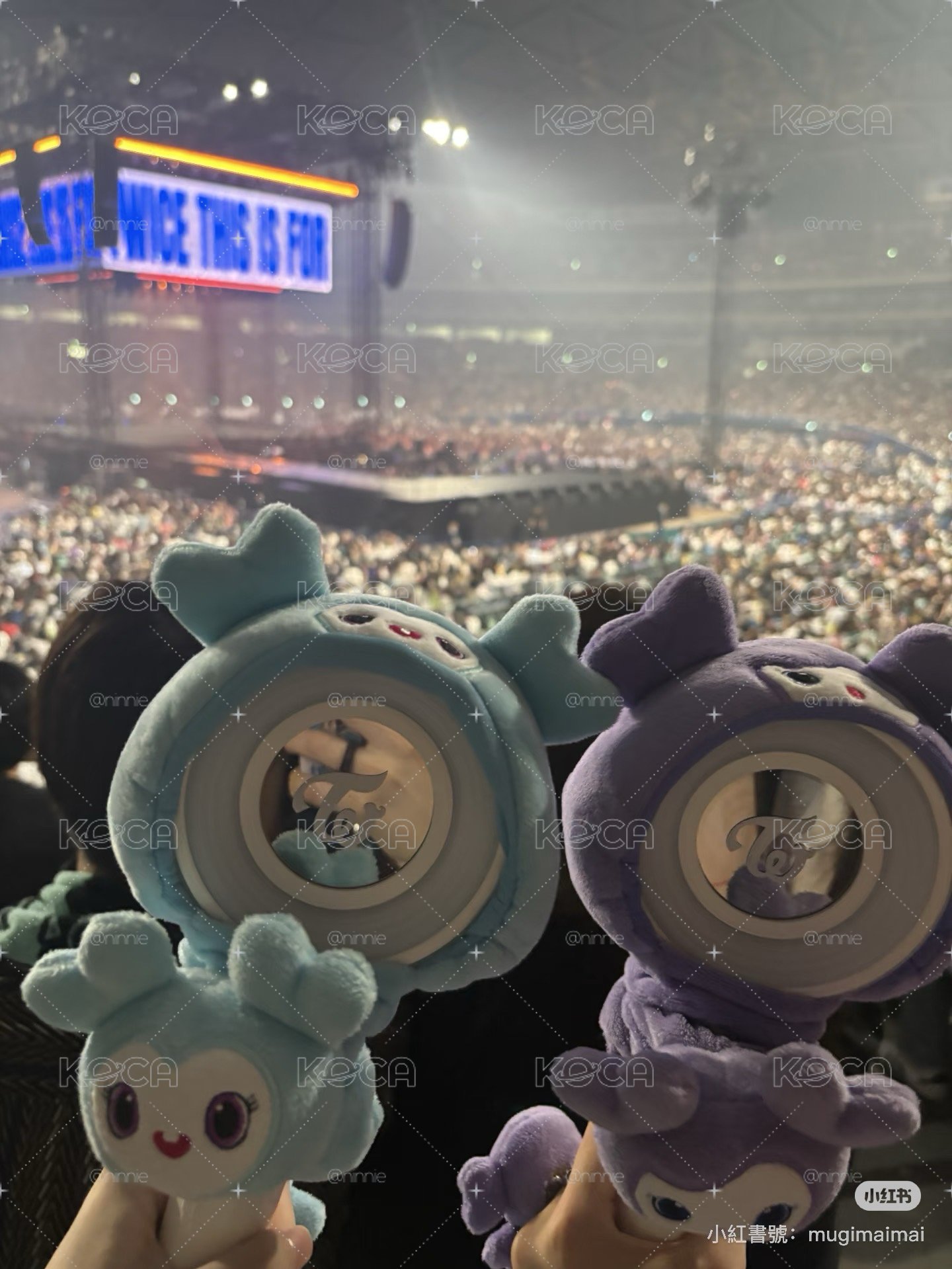 【演唱會必備】TWICE LOVELYSxGiGO 髮圈