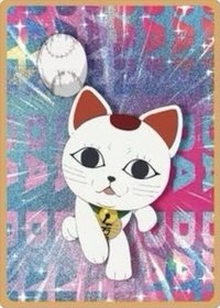 木棉花 台灣限定抽卡機 隨機卡 