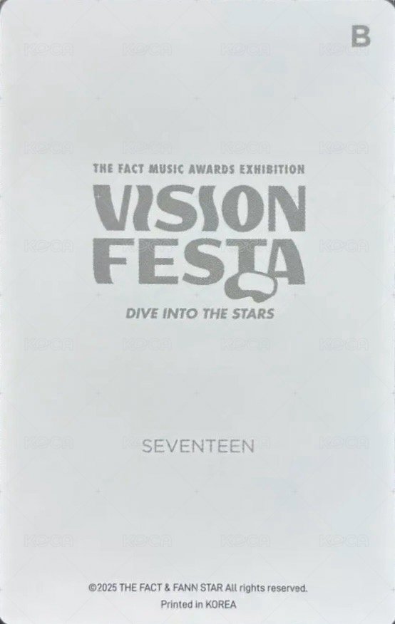 VISION FESTA 入場卡 / 場限卡  背面