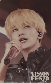 VISION FESTA 入場卡 / 場限卡 