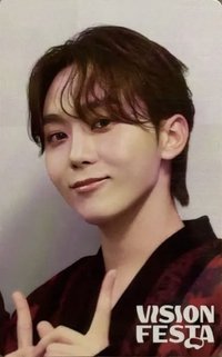 VISION FESTA 入場卡 / 場限卡 