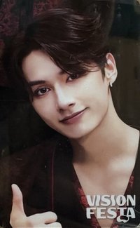 VISION FESTA 入場卡 / 場限卡 