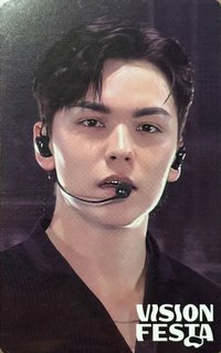 VISION FESTA 入場卡 / 場限卡 