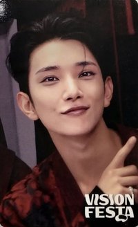 VISION FESTA 入場卡 / 場限卡 