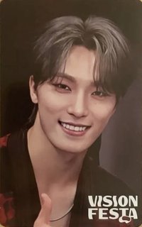 VISION FESTA 入場卡 / 場限卡 